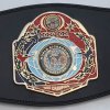 WKF continental title belt