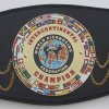 WKF intercontinental title belt