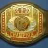 WKF international title belt