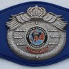 WKF MMA continental title belt