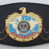 WKF World title belt