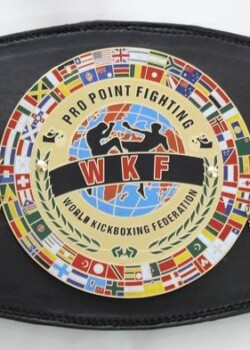 WKF PPF -pro point fighting belt