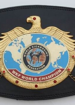 WKF World title belt